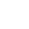 Strategic Alignment