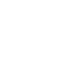 Cyber security