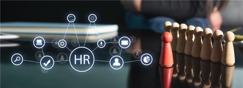 hr and payroll admin